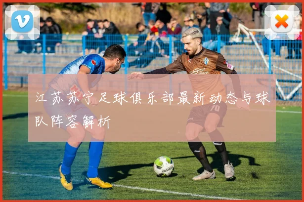 江苏苏宁足球俱乐部最新动态与球队阵容解析